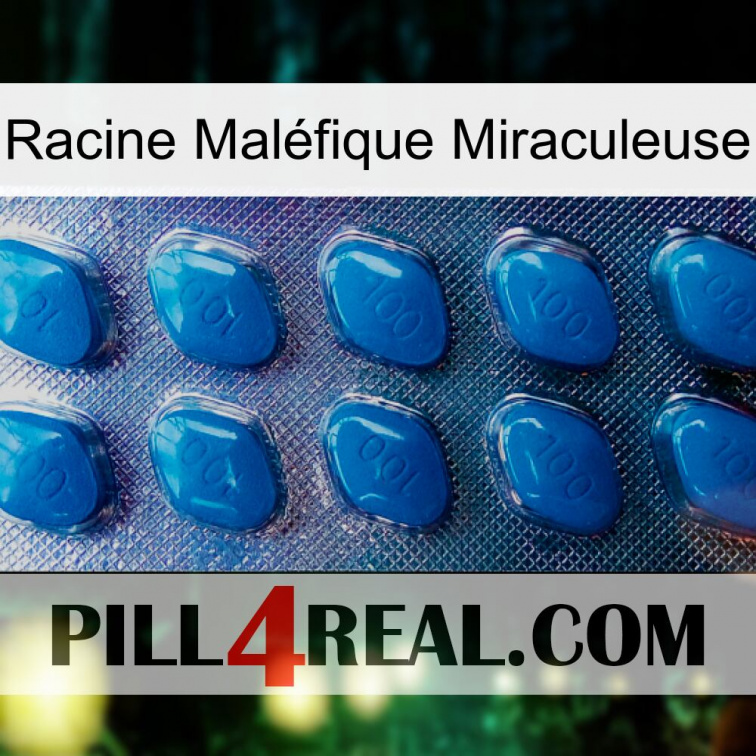 Racine Maléfique Miraculeuse viagra1